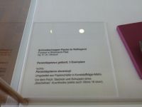 3_Vitrine15_unten_a_Beschriftung_KB