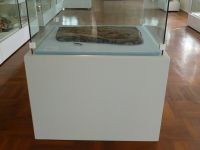 3_Vitrine16_oben_Podest__KB