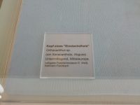 3_Vitrine16_oben_Podest_a_Beschriftung_KB