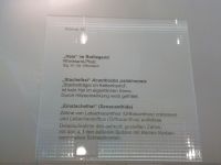 3_Vitrine16_oben_a_Beschriftung_KB
