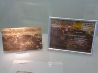 3_Vitrine16_oben_b_Stachelhai_KB