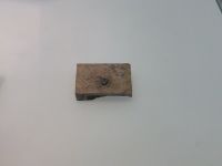 3_Vitrine16_oben_f_StachelhaiZahn_KB