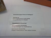 3_Vitrine16_unten_a_Beschriftung_KB
