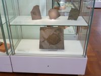 3_Vitrine17__Kupferschiefer_KB