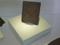 3_Vitrine18_oben_d_Gingko_KB