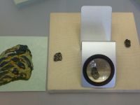 3_Vitrine18_oben_f_FrankenbergerKornähren_KB