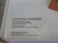 3_Vitrine18_unten_a_Beschriftung_KB