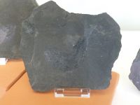 3_Vitrine18_unten_c_Kupferschieferhering_KB