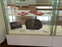 3_Vitrine19__Brachiopoden_Libellen_KB