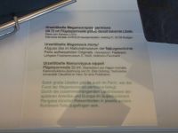 3_Vitrine19_unten_a_Beschriftung_KB