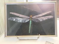 3_Vitrine19_unten_b_Rekonstruktion_KB