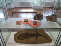 3_Vitrine20_oben__KB