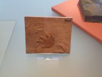 3_Vitrine20_oben_b_Fährte_KB