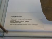 3_Vitrine20_unten_a_Beschriftung_KB