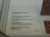 3_Vitrine21_unten_a_Beschriftung_KB