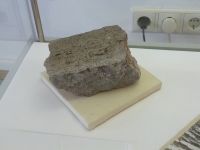 4_Vitrine22_unten_b_Kalk_KB