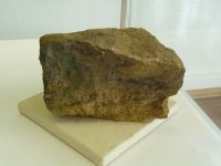4_Vitrine22_unten_e_Quarzit_MB