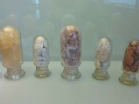 4_Vitrine23_oben_c_Salze_KB