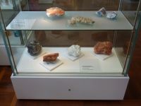 4_Vitrine24__Zechsteinsalze_KB