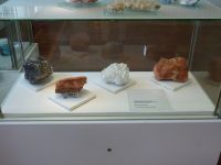 4_Vitrine24_unten__KB