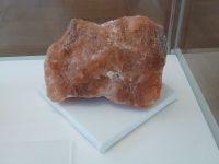 4_Vitrine24_unten_e_Salz_KB