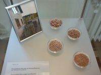 4_Vitrine27_oben_b_Rhyolith_KB