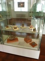 4_Vitrine29__Mineralisation_MB