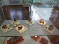 4_Vitrine29_oben__MB
