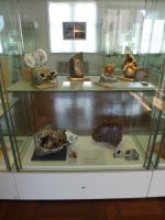 4_Vitrine30__Mineralisation_MB