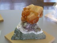 4_Vitrine30_oben_e_Amethystigel_MB