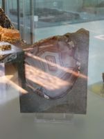 4_Vitrine30_oben_g_Achat_MB