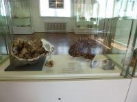 4_Vitrine30_unten__MB
