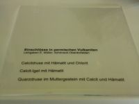 4_Vitrine30_unten_a_Beschriftung_MB