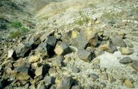 Foto_002