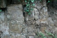 Büdesheim_Philippi_Mühle_Detail_GS