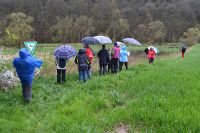 08_Auf_dem_Weg_zum_Naturschutzgebiet_Kirschenwiesen_GS