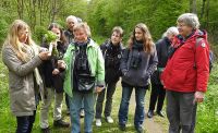 04_Pflanzenbestimmung_SW