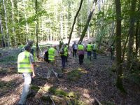 4_Wirbelau_Gruppe_auf_dem_Weg_zum_kleinen_Steinbruch_im_Wald