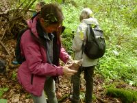 Münzenberg04_Durchsicht_von_Gesteinsbrocken_nach_Fossilien_WO