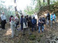 15_SW_Gruppe_am_Geotop_Warte_einem_kleinen_Steinbruch_mit_Lungstein