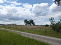 c_Blick_zur_alten_Kernfläche_der_Sandrasen