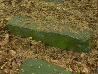2a9_Durchbruchstal_der_Warnow_bearbeiteter_Stein_wo