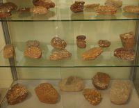 3a5_GLS_Sammlung_von_Sternberger_Kuchen_er