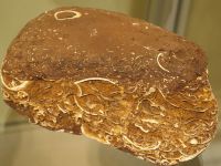 3a6_GLS_Sternberger_Kuchen_SAM_er
