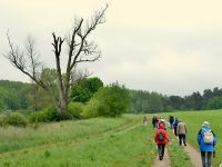3b1_Auf_dem_Weg_zum_Fischer_Frischke_el