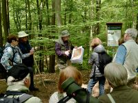 4a4_Radebachtal__Erläuterungen_zur_Geologie_el