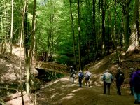 4a5_Radebachtal_Abstieg_zur_Brücke_el