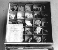 13_Stücke_aus_dem_Ostheimer_Braunkohlenwerk