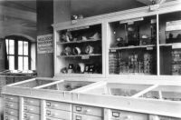16_Vitrine_mit_Mollusken