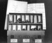 17_Schneckensammlung_von_Gründungsmitglied_Gärtner